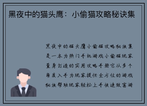 黑夜中的猫头鹰：小偷猫攻略秘诀集